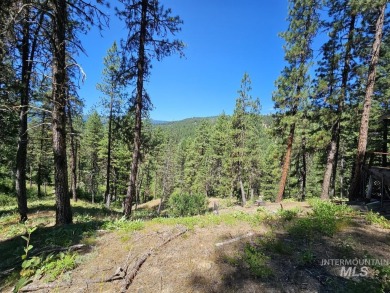 A CREEK RUNS THROUGH IT and you'll be 150' from the Middle Fork on Terrace Lakes Golf Resort in Idaho - for sale on GolfHomes.com, golf home, golf lot