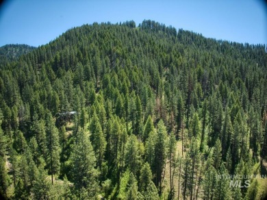A CREEK RUNS THROUGH IT and you'll be 150' from the Middle Fork on Terrace Lakes Golf Resort in Idaho - for sale on GolfHomes.com, golf home, golf lot
