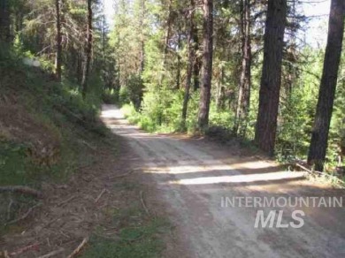 A CREEK RUNS THROUGH IT and you'll be 150' from the Middle Fork on Terrace Lakes Golf Resort in Idaho - for sale on GolfHomes.com, golf home, golf lot