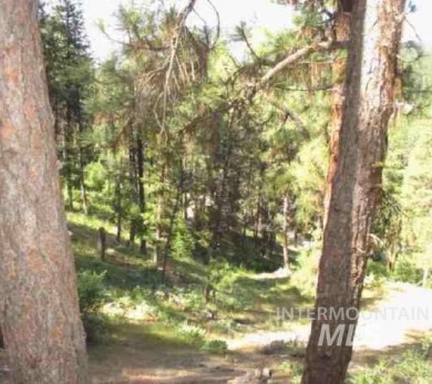 A CREEK RUNS THROUGH IT and you'll be 150' from the Middle Fork on Terrace Lakes Golf Resort in Idaho - for sale on GolfHomes.com, golf home, golf lot