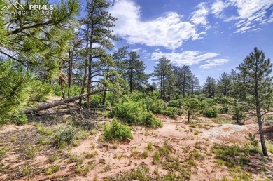 1 acre- AMAZING COLORADO VIEWS in this timbered natural setting on Perry Park Country Club in Colorado - for sale on GolfHomes.com, golf home, golf lot