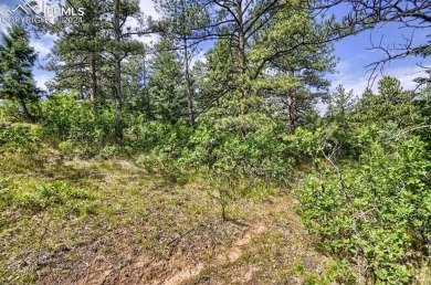 1 acre- AMAZING COLORADO VIEWS in this timbered natural setting on Perry Park Country Club in Colorado - for sale on GolfHomes.com, golf home, golf lot