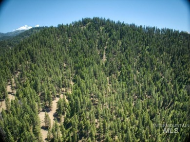 This is your slice of Idaho wilderness. Live off the grid or on Terrace Lakes Golf Resort in Idaho - for sale on GolfHomes.com, golf home, golf lot