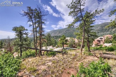 1 acre- AMAZING COLORADO VIEWS in this timbered natural setting on Perry Park Country Club in Colorado - for sale on GolfHomes.com, golf home, golf lot