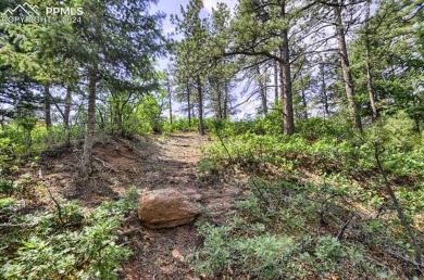 1 acre- AMAZING COLORADO VIEWS in this timbered natural setting on Perry Park Country Club in Colorado - for sale on GolfHomes.com, golf home, golf lot