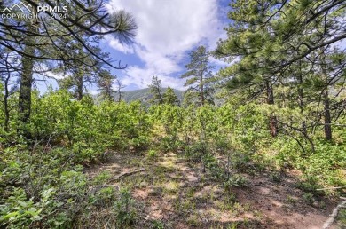 1 acre- AMAZING COLORADO VIEWS in this timbered natural setting on Perry Park Country Club in Colorado - for sale on GolfHomes.com, golf home, golf lot