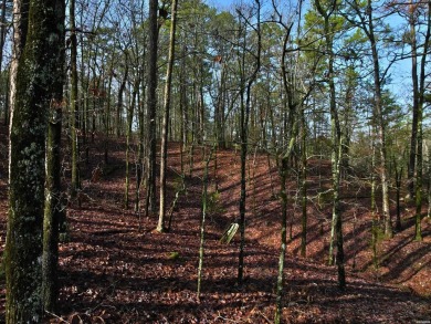 Great Opportunity Across from Ponce Golf Course near the on Ponce De Leon Golf Course in Arkansas - for sale on GolfHomes.com, golf home, golf lot
