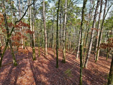 Great Opportunity Across from Ponce Golf Course near the on Ponce De Leon Golf Course in Arkansas - for sale on GolfHomes.com, golf home, golf lot