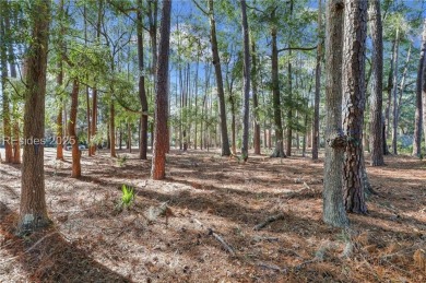 Set within the desirable Belfair golf community, this expansive on Belfair Golf Club in South Carolina - for sale on GolfHomes.com, golf home, golf lot