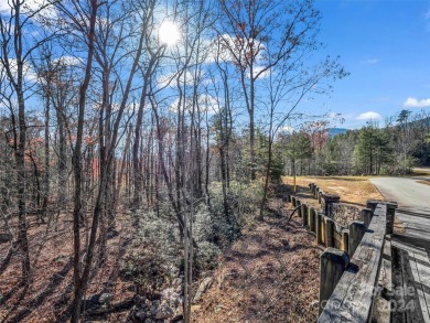 Create your dream home and enjoy being close to Bright's Creek on Brights Creek Golf Course in North Carolina - for sale on GolfHomes.com, golf home, golf lot