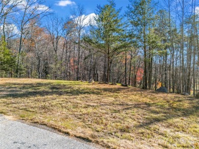 Create your dream home and enjoy being close to Bright's Creek on Brights Creek Golf Course in North Carolina - for sale on GolfHomes.com, golf home, golf lot