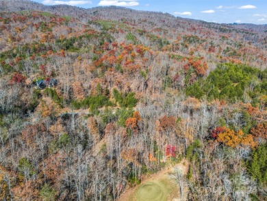 Create your dream home and enjoy being close to Bright's Creek on Brights Creek Golf Course in North Carolina - for sale on GolfHomes.com, golf home, golf lot