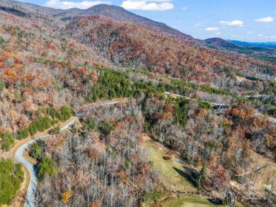 Create your dream home and enjoy being close to Bright's Creek on Brights Creek Golf Course in North Carolina - for sale on GolfHomes.com, golf home, golf lot