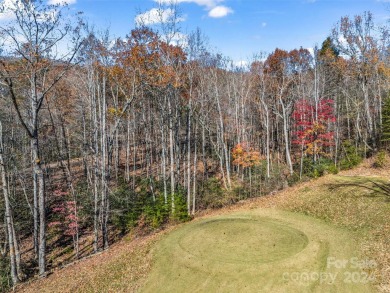 Create your dream home and enjoy being close to Bright's Creek on Brights Creek Golf Course in North Carolina - for sale on GolfHomes.com, golf home, golf lot