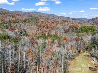 Create your dream home and enjoy being close to Bright's Creek on Brights Creek Golf Course in North Carolina - for sale on GolfHomes.com, golf home, golf lot