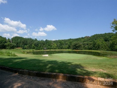 Create your dream home and enjoy being close to Bright's Creek on Brights Creek Golf Course in North Carolina - for sale on GolfHomes.com, golf home, golf lot