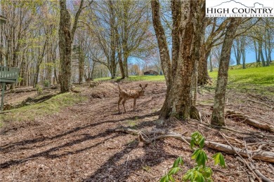 Located on Beech Mountain Club's private golf course, enjoy the on Beech Mountain Club in North Carolina - for sale on GolfHomes.com, golf home, golf lot