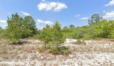 Buildable residential lot in the well-established Placid Lakes on Placid Lakes Country Club in Florida - for sale on GolfHomes.com, golf home, golf lot