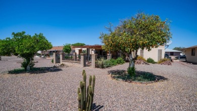 Buy this home and if YOU ARE NOT SATISFIED with your purchase in on PalmBrook Country Club in Arizona - for sale on GolfHomes.com, golf home, golf lot