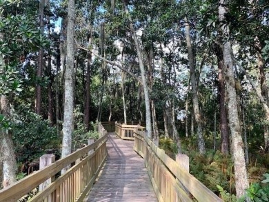 ATTENTION 55+ active adults looking for the perfect home and on Harmony Golf Preserve in Florida - for sale on GolfHomes.com, golf home, golf lot