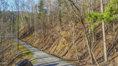 Nestled within the serene and picturesque Laurel Valley on Laurel Valley Golf Course in Tennessee - for sale on GolfHomes.com, golf home, golf lot