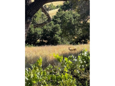Located on a scenic cul-de-sac, this beautifully renovated home on Villages Golf and Country Club in California - for sale on GolfHomes.com, golf home, golf lot