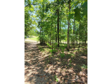 This is a beautiful golf course lot with slight slope.  Build on Diamondhead Golf and Country Club in Arkansas - for sale on GolfHomes.com, golf home, golf lot