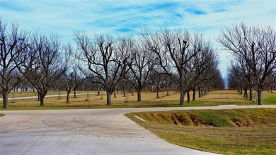 An exceptional opportunity to own a premier aviation lot in the on Nutcracker Golf Club in Texas - for sale on GolfHomes.com, golf home, golf lot