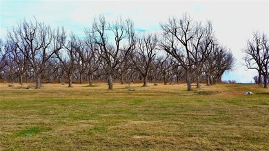 An exceptional opportunity to own a premier aviation lot in the on Nutcracker Golf Club in Texas - for sale on GolfHomes.com, golf home, golf lot