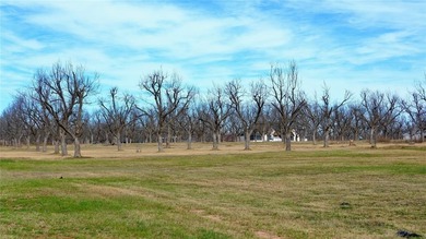 An exceptional opportunity to own a premier aviation lot in the on Nutcracker Golf Club in Texas - for sale on GolfHomes.com, golf home, golf lot