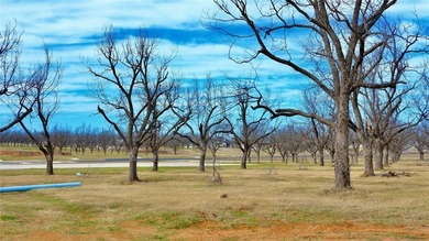 An exceptional opportunity to own a premier aviation lot in the on Nutcracker Golf Club in Texas - for sale on GolfHomes.com, golf home, golf lot