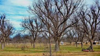 Welcome to your fly-in, fly-out opportunity in The Landings East on Nutcracker Golf Club in Texas - for sale on GolfHomes.com, golf home, golf lot