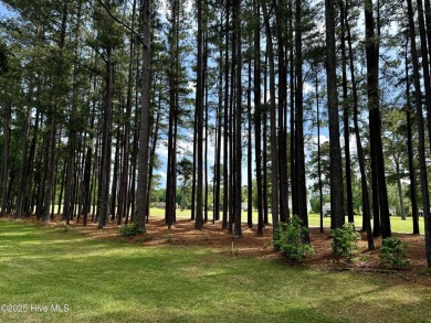 Enjoy life and comfortable living in this well designed and on Emerald Golf Club in North Carolina - for sale on GolfHomes.com, golf home, golf lot