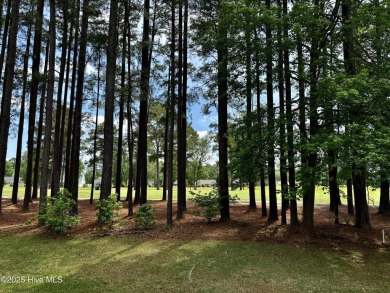 Enjoy life and comfortable living in this well designed and on Emerald Golf Club in North Carolina - for sale on GolfHomes.com, golf home, golf lot