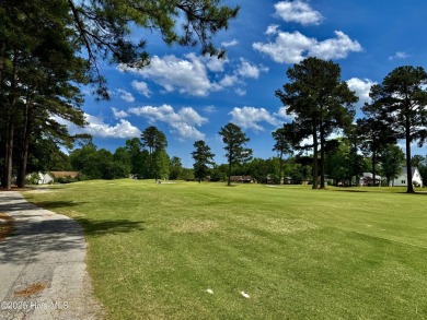 Enjoy life and comfortable living in this well designed and on Emerald Golf Club in North Carolina - for sale on GolfHomes.com, golf home, golf lot