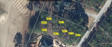 Over 1/2-acre golf course lot located on the 7th Green of the on Monticello Golf Club At Savannah Lakes in South Carolina - for sale on GolfHomes.com, golf home, golf lot