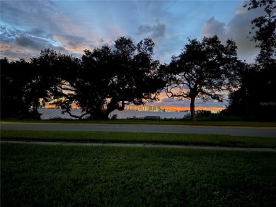 How is this possible? A home on the water in a NO FLOOD ZONE! on Belleview Biltmore Golf Club in Florida - for sale on GolfHomes.com, golf home, golf lot