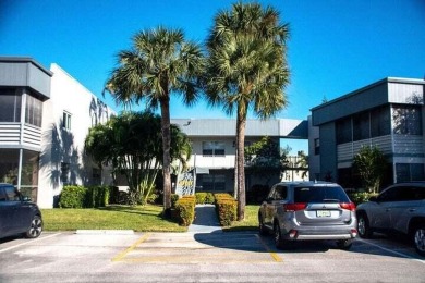 Beautiful bright and cheery move in ready 2 bedroom 2 bath condo on Kings Point Golf -Flanders Way in Florida - for sale on GolfHomes.com, golf home, golf lot