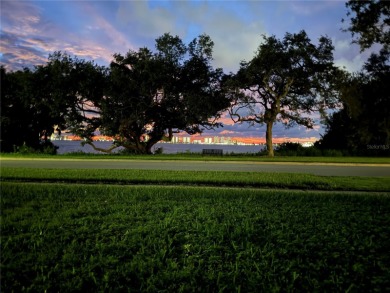 How is this possible? A home on the water in a NO FLOOD ZONE! on Belleview Biltmore Golf Club in Florida - for sale on GolfHomes.com, golf home, golf lot