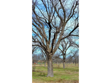 Welcome to your fly-in, fly-out opportunity in The Landings East on Nutcracker Golf Club in Texas - for sale on GolfHomes.com, golf home, golf lot