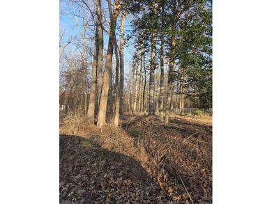 Newly listed large lot, almost an acre, with lakeview! Build on Diamondhead Golf and Country Club in Arkansas - for sale on GolfHomes.com, golf home, golf lot