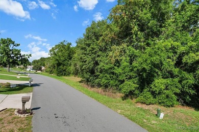 Great quiet lot with no rear neighbors situated in the on Twisted Oaks Golf Club in Florida - for sale on GolfHomes.com, golf home, golf lot