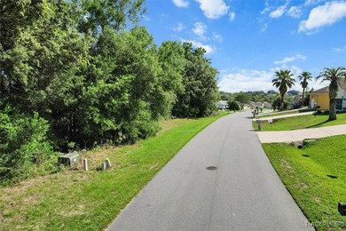 Great quiet lot with no rear neighbors situated in the on Twisted Oaks Golf Club in Florida - for sale on GolfHomes.com, golf home, golf lot