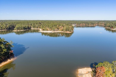 Waterfront home with a boat dock with a jetski dock on a deep on Monticello Golf Club At Savannah Lakes in South Carolina - for sale on GolfHomes.com, golf home, golf lot