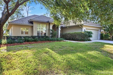 IT IS RARE TO FIND SUCH A CAPTIVATING FOUR BEDROOM 3 BATH HOME on Black Diamond Ranch Golf Course in Florida - for sale on GolfHomes.com, golf home, golf lot