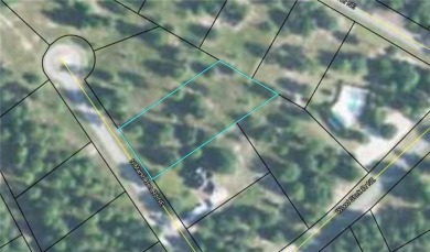 Come see what *Bluff Life* is all about! This lovely 0.81 acre on Sapelo Hammock Golf Club in Georgia - for sale on GolfHomes.com, golf home, golf lot