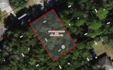 Beautiful Wooded Lot - No HOA & City Water Available! Discover on Citrus Springs Country Club in Florida - for sale on GolfHomes.com, golf home, golf lot