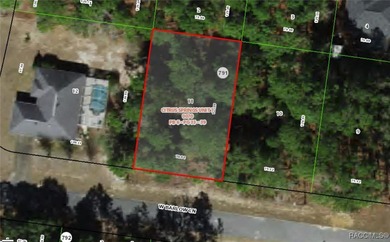 Your Florida Dream Homesite Awaits! Embrace the perfect blend of on Citrus Springs Country Club in Florida - for sale on GolfHomes.com, golf home, golf lot