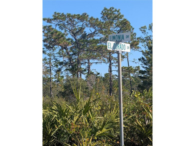 Come build your forever home on this One-Acre lot that located on Indian Lake Estates Golf and Country Club in Florida - for sale on GolfHomes.com, golf home, golf lot