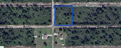 Come build your forever home on this One-Acre lot that located on Indian Lake Estates Golf and Country Club in Florida - for sale on GolfHomes.com, golf home, golf lot